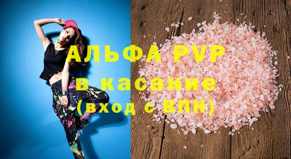 гашик Алексин