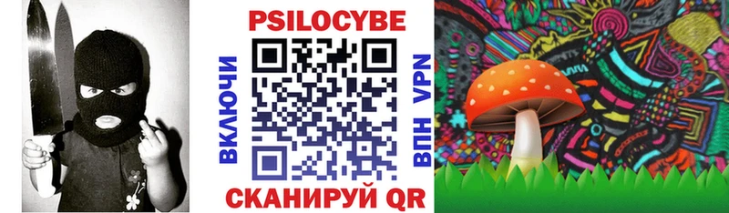 Галлюциногенные грибы прущие грибы  Порхов 